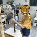 버드아뜰리에 이미지