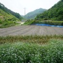 주천면행정복지센터 이미지