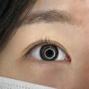 로즈미용타운