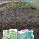 호산나농장 이미지