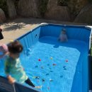 햇님이네 | [충남 예산] 단체 독채 펜션 햇님이네