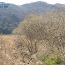 죽산리경로당 이미지