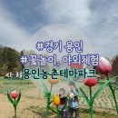 용설호수 농장 | 용인 농촌 테마파크 후기- 경기도 벚꽃 명당 + 주차, 준비물