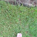 마음연구소민박 이미지