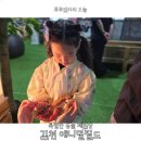 애니멀하우스 | 대구 경북 근교 김천 아포읍 체험형 미니 동물원 애니멀필드2 아이와 가볼 만한 곳 추천합니다