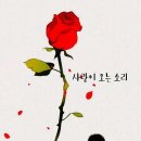 라인댄스(야) 이미지