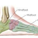 드래곤 파라다이스 짐 이미지