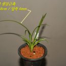 진주사봉우체국 이미지