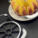 파이어인더몰 이미지