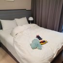 테라호텔 이미지