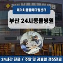 에이치동물메디컬센터 네이버블로그