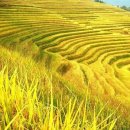 룽성 - 삼척시 청석로 7-40 | 룽성