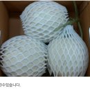 삼촌이모과일 이미지