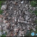 세정초등학교 이미지