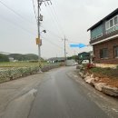 맥금12통 이미지