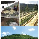 (주)온리정보통신 이미지