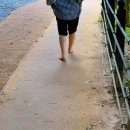 양을산산림욕장 네이버블로그