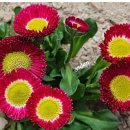 효도로 노인전문요양원 이미지