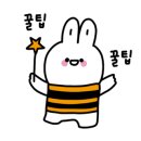 양영학원 이미지