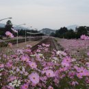 구역사 이미지