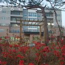 일산3리 이미지