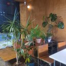 달서구 두류동 무인 보드게임 24CAFE 24시 카페 후기