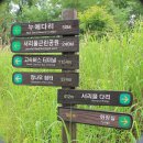 몽마르뜨공원 이미지