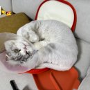 이담메디칼 이미지