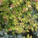 자전거노래연습장 이미지