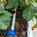 워니 농장 이미지