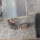 해제면 공중목욕장 이미지