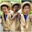어울림숲어린이집