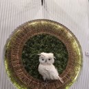 조리고 본점 | 🔥 밥도둑 끝판왕! 평택 본점 &#39;조리고&#39; 시래기 코다리조림 강추 후기! 👋