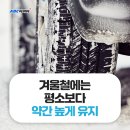 철따라계절따라 이미지