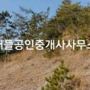 대덕읍사무소 이미지