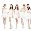 치치 이미지