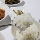 백진주 | 프리미엄 백미의 새로운 기준, 조선향미 최고급품종 백미쌀 조선백진주 후기