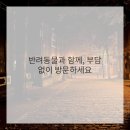 소유헤어 이미지