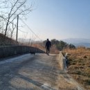 궁촌의 아침 민박 이미지