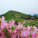 5월 7일 토요당일 - 블랙야크 100대 명산 소백산 비로봉 + 국망봉 산행 안내 - 신청하기 이미지