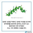 가평삼성의원 이미지