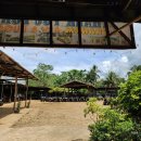 영장농장 | 보홀 육상투어 코스추천 내돈내산 단독차량 후기