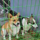 다래민박 이미지