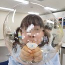 피라냐 해부 : 김O진 강사님 이미지