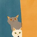 우리꽃집 이미지