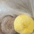 소문난찐빵 이미지