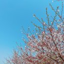 미사강변중앙로31번길 이미지