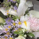 [결혼준비]부산웨딩스튜디오 결정하기_원규스튜디오 촬영후기_내돈내산