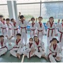 기품태권도 이미지