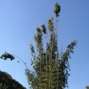 불국사성림무료급식소 이미지